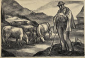 Pastier kráv