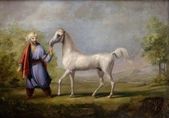 Taiar – biely arabský kôň