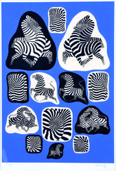 Variácia zebry