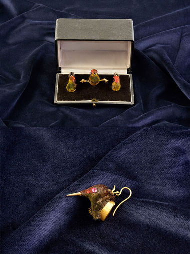 NÁUŠNICE A BROŠŇA (VTÁČIK)