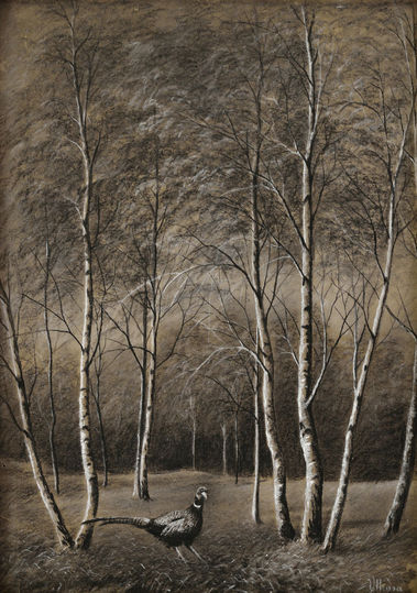 Lesné zátišie s bažantom