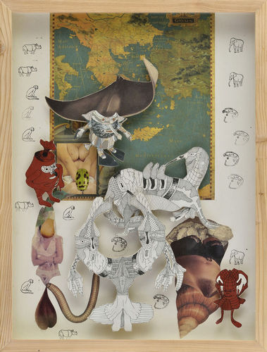 Mare Adriatico, z cyklu Cartosexgrafie