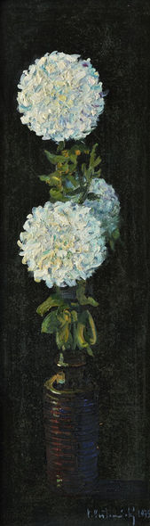 Dve biele chryzantémy