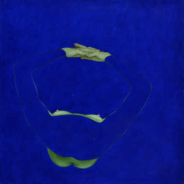 Oko nikdy neklame, ale nikdy netvrdí pravdu