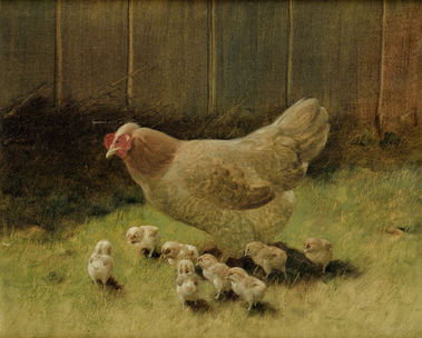 Sliepka s kuriatkami