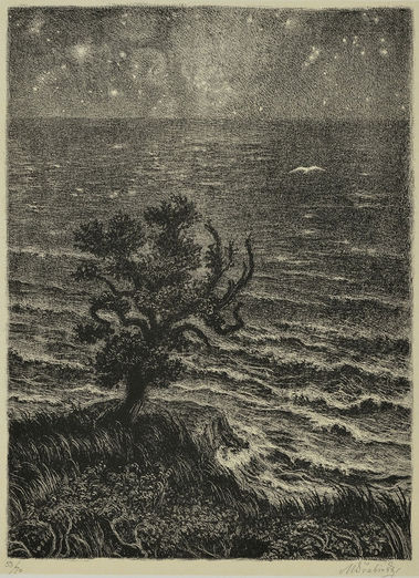 Súmrak nad oceánom