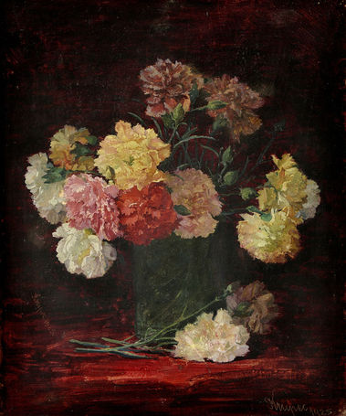 Kytica karafiátov