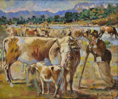 Pastier pri napájaní kráv