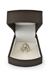 BRILIANTOVÝ PRSTEŇ