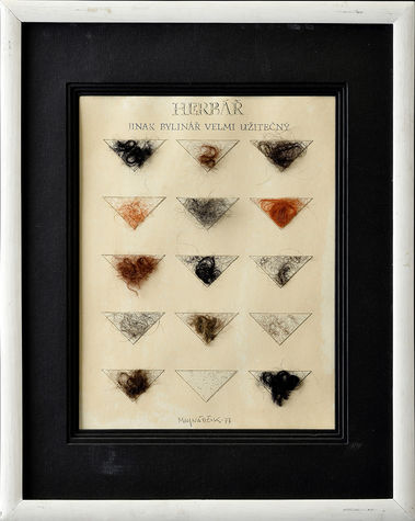 Herbár. (Jinak bylinář velmi užitečný)