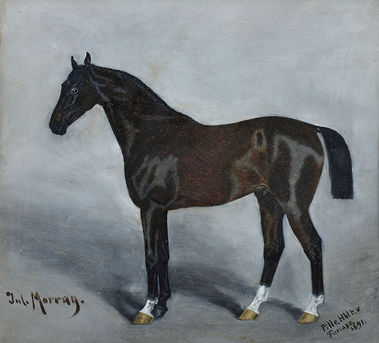 Kôň – Furioso