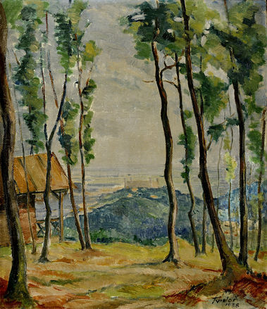 Pohľad na bratislavský hrad