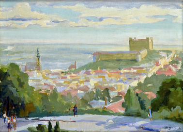 Pohľad na bratislavský hrad od Slavína