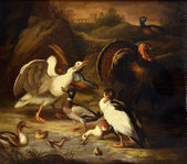 Zátišie s husou a moriakom