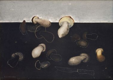 Zátišie s hríbami