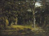Vnútro lesa II.