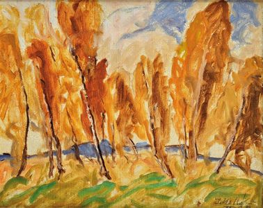 Jeseň v Piešťanoch