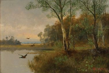 Les s divými kačkami