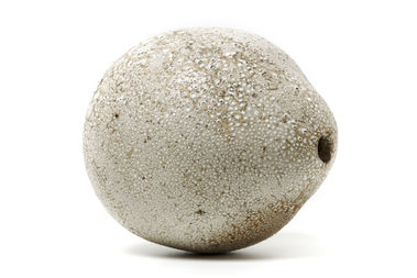 Záhradná plastika – PRAŠIVKA