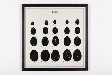 Názorné pomôcky I