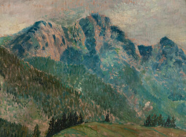 POHĽAD NA BELANSKÉ ALPY