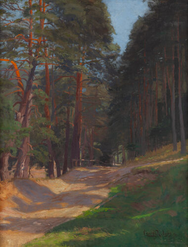 CESTA LESOM