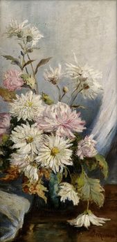 Kytica astier