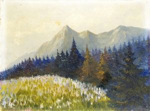 Pohľad na Tatry
