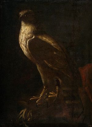 Sokol