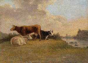 Kravy pri rieke