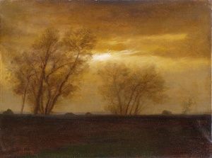 Rovinatá krajina so stromami