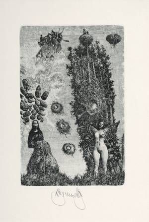 The summer image