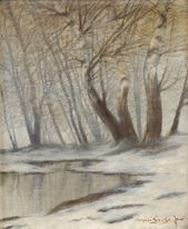 Zimný les s jazierkom