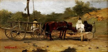 Pri napájaní koní