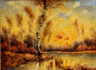 Bociany v brezovom lesíku