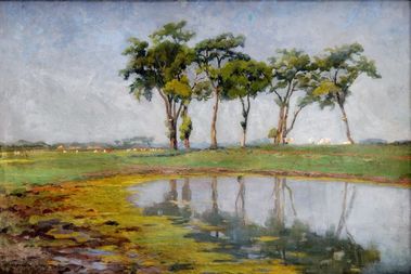 Močaristá krajina so stromami