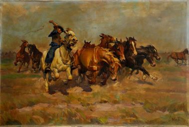 Stádo koní na puste