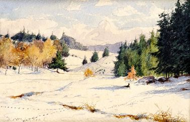 Slnečný zimný deň