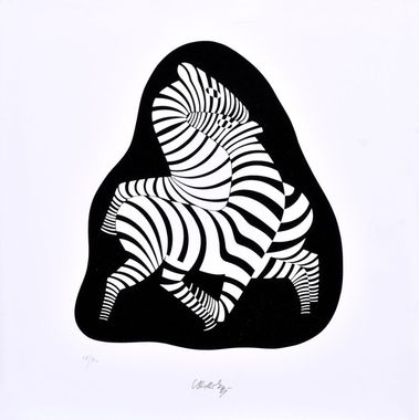Zebry IV.