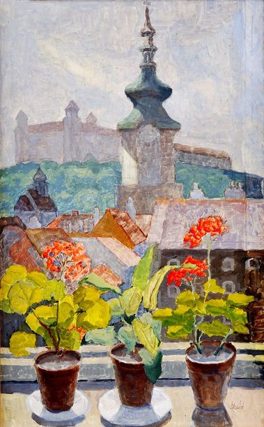 Pohľad na Bratislavský hrad