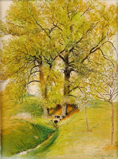 Pri liečivom prameni