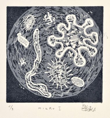 Mikro I.