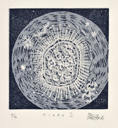 Mikro II.