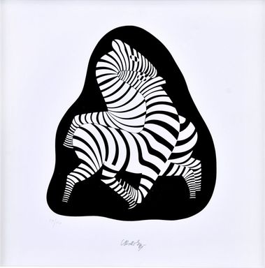 Zebra V.