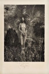 Quite good known lady