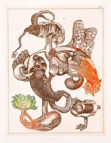 Surrealistická kompozícia