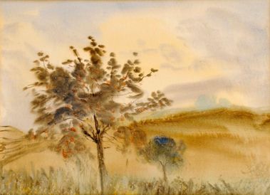 Osamelý strom v Liptovskej krajine