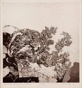 Krajina pre madrigálové koncerty I.