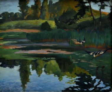 Kačky nad rybníkom