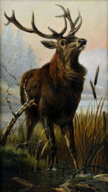 Dvanástorák